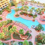 Shores Of Panama 1015